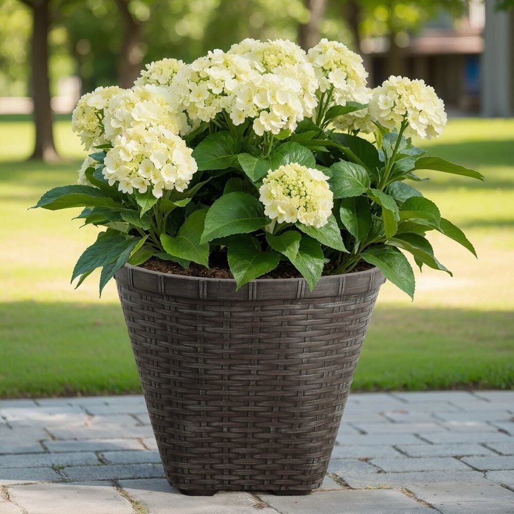 My Texas House 16"‎ Ainsley Woven Planter, Dark Brown Resin Basket